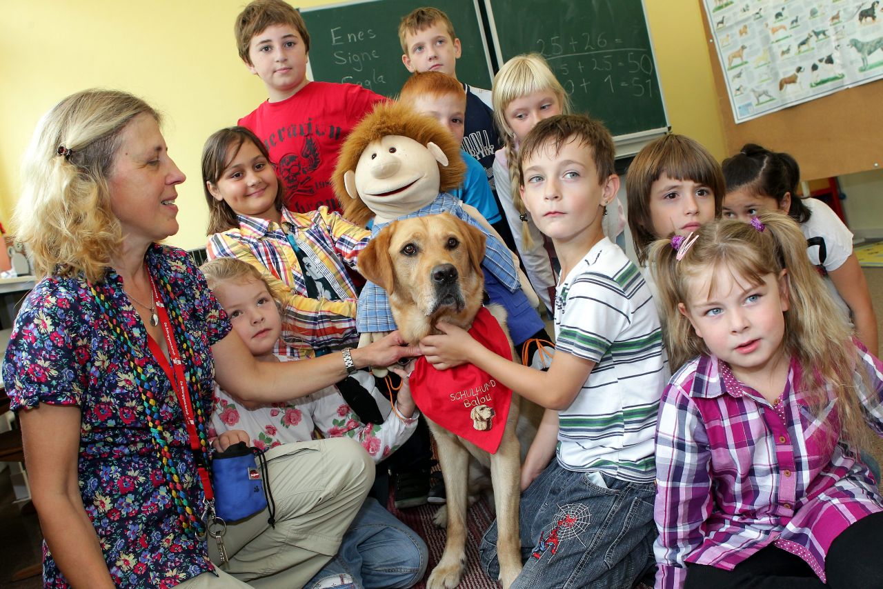 Schulhund Balou in der Schule