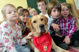 Balou in der Schule