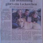 Zeitungsartikel-1