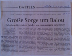 zeitungsartikel-2